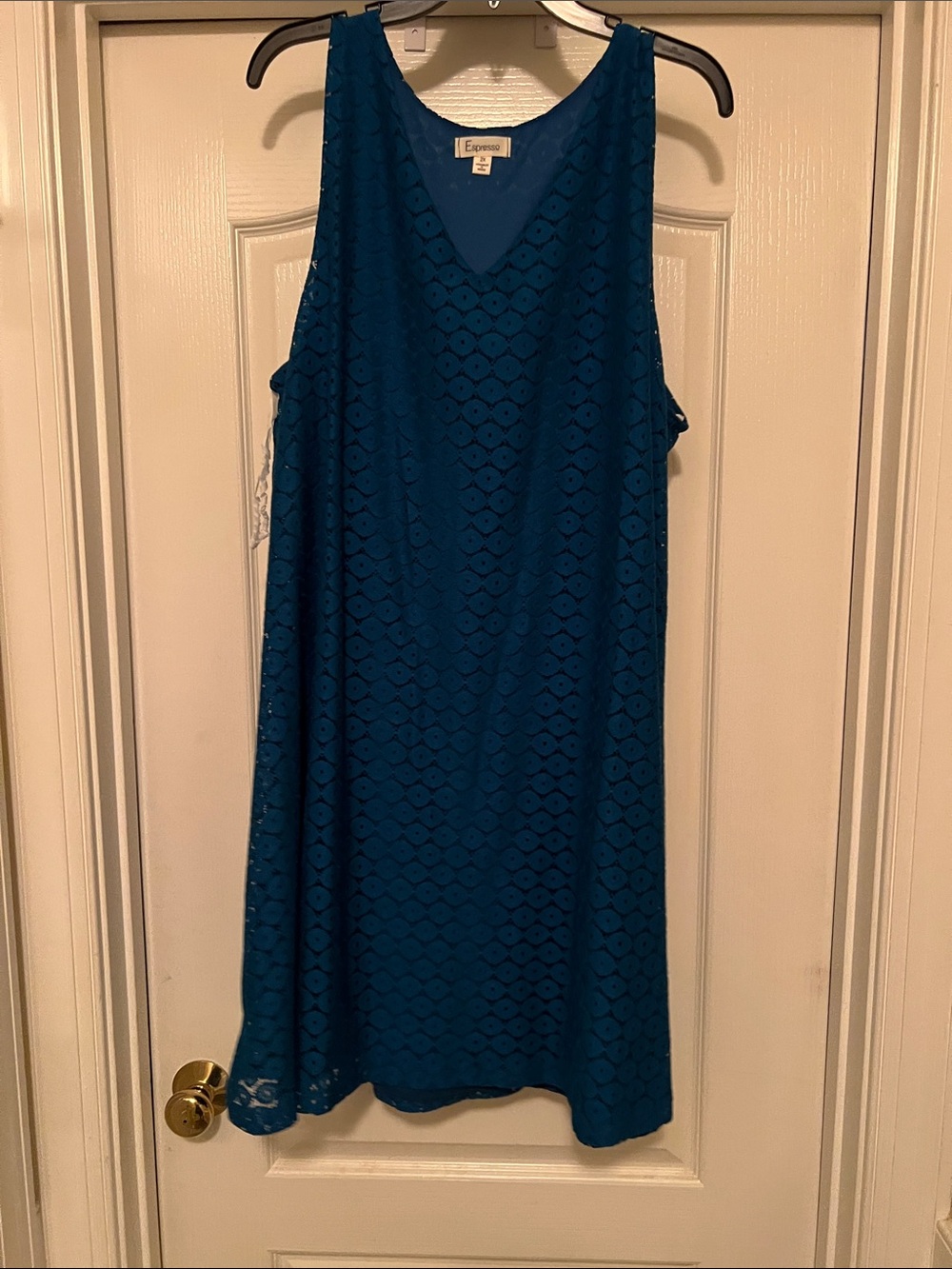 Express Teal Lace Overlay Sleeveless Shift Dress